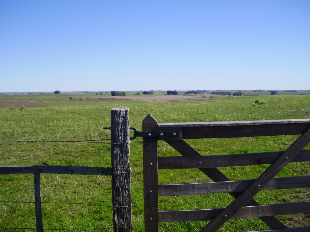 Campo agrícola en San José sobre ruta — 4