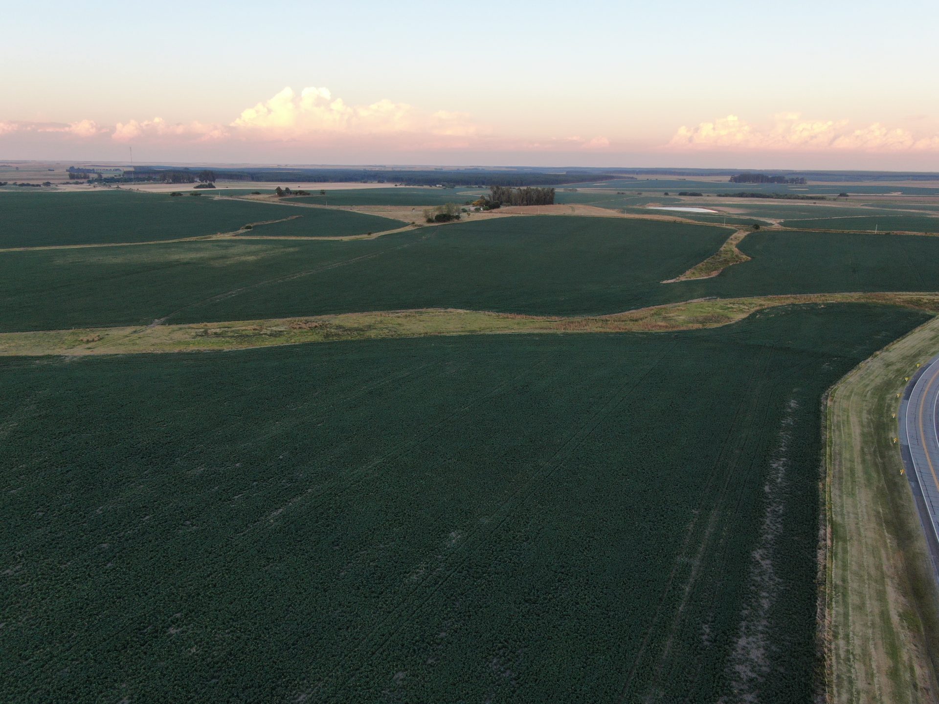 Campo agrícola sobre ruta en Soriano — 2