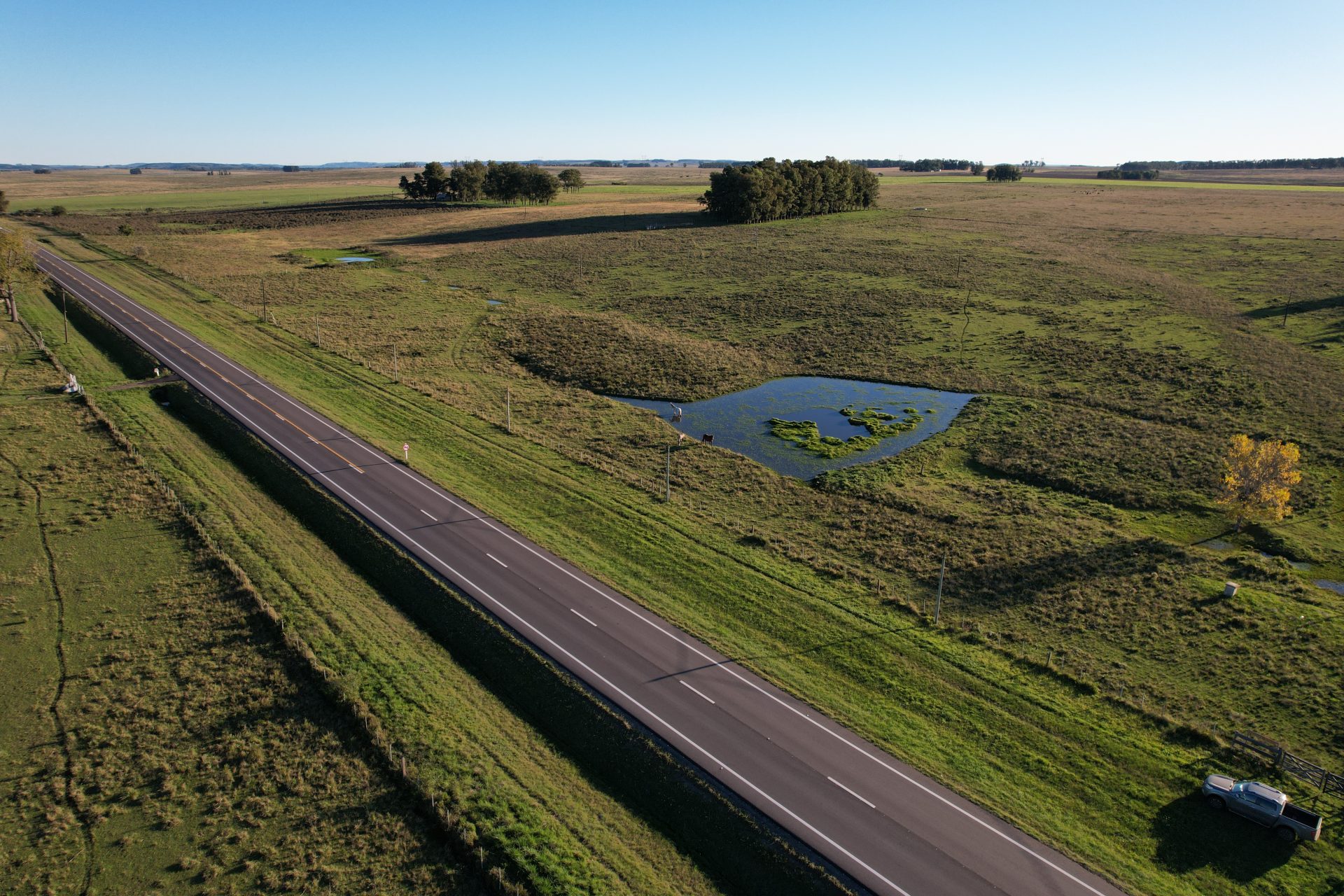 Campo agrícola sobre Ruta 8 en Lavalleja — 2