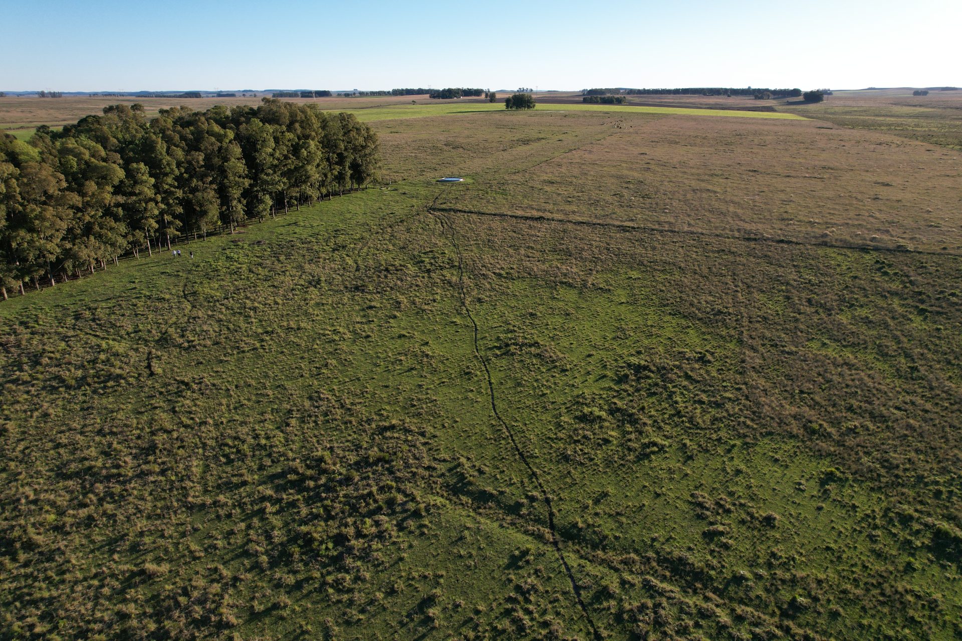 Campo agrícola sobre Ruta 8 en Lavalleja — 3