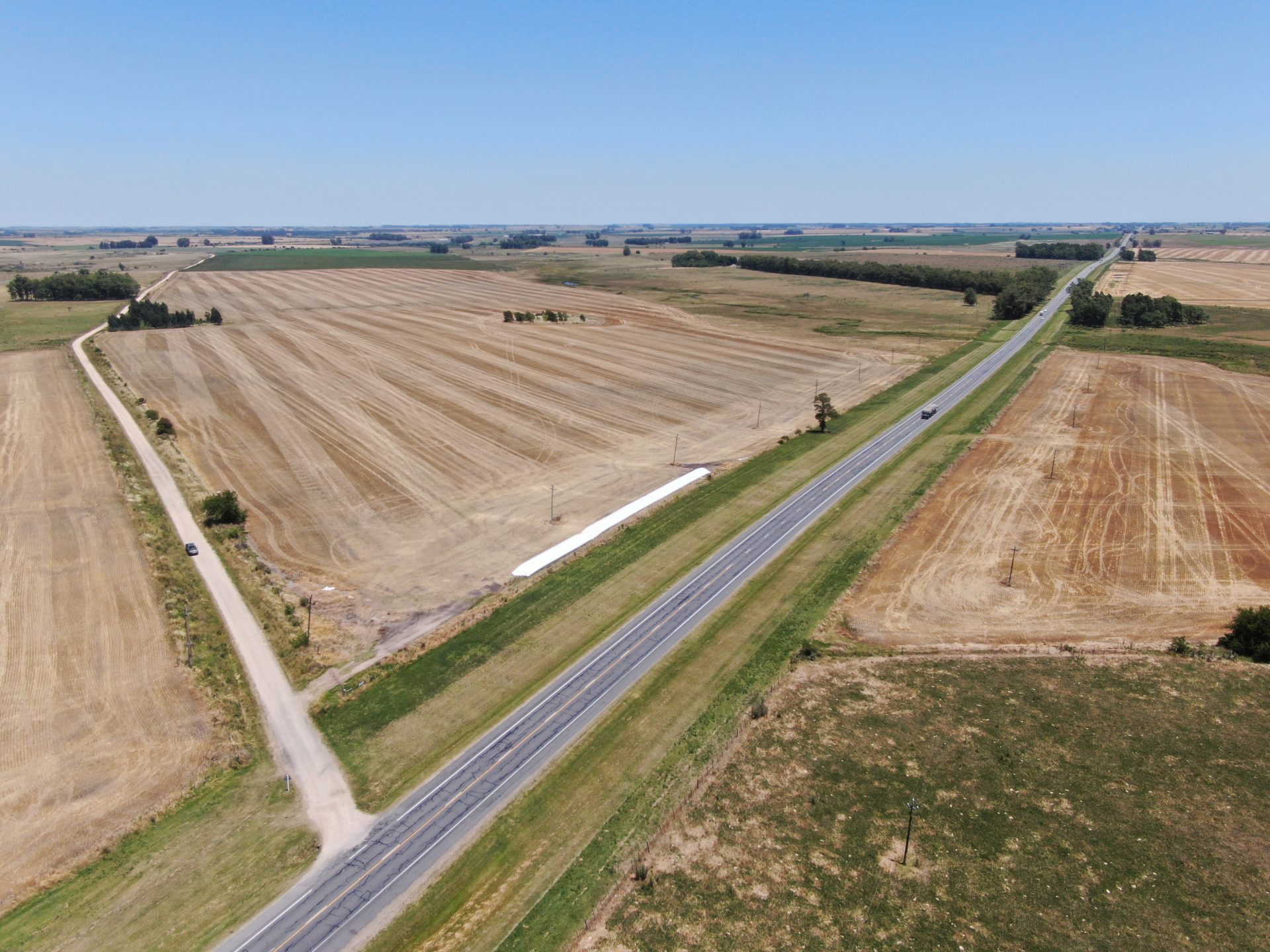 Campo de 85 ha en Soriano