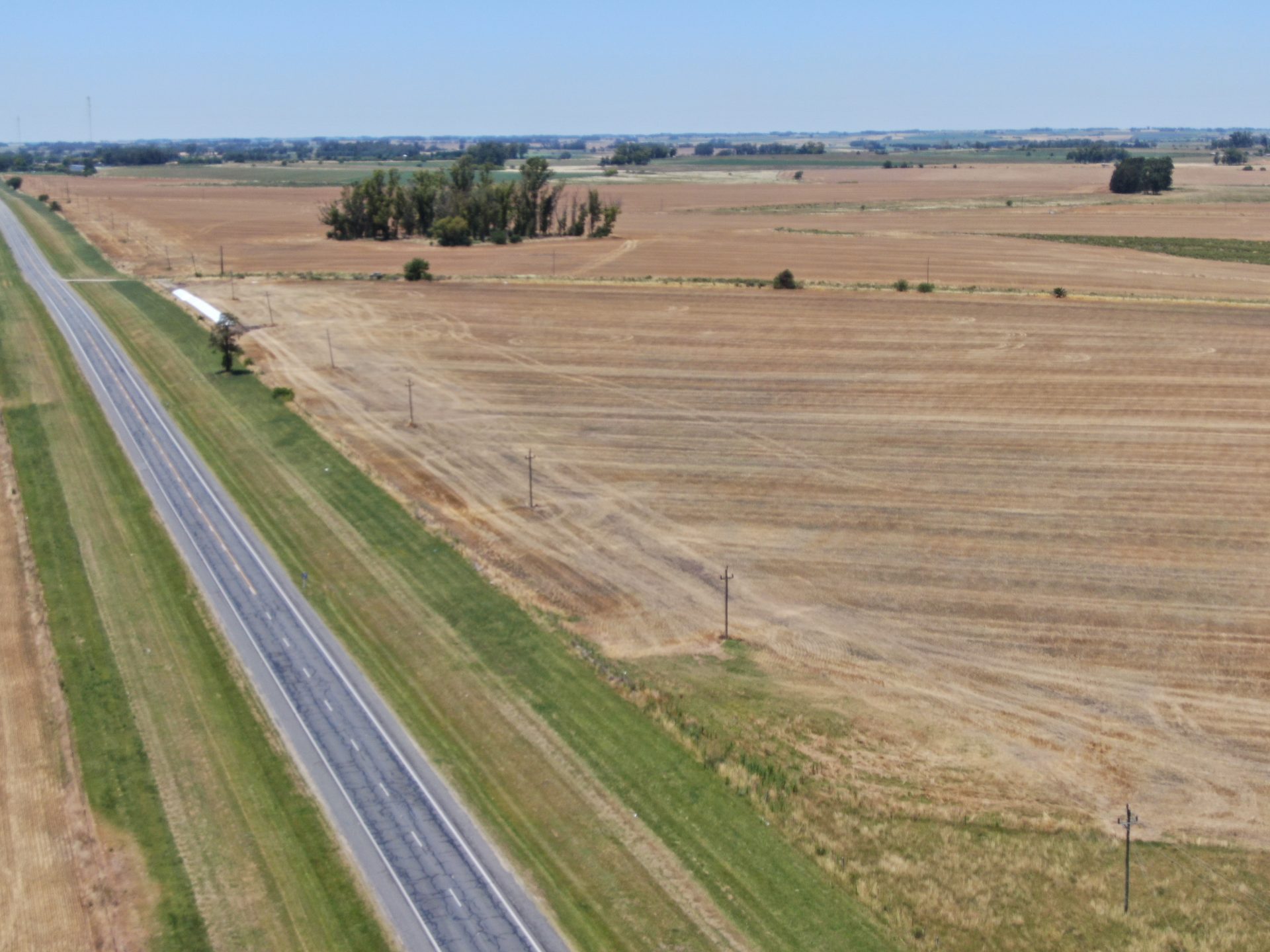 Campo de 85 ha en Soriano — 3