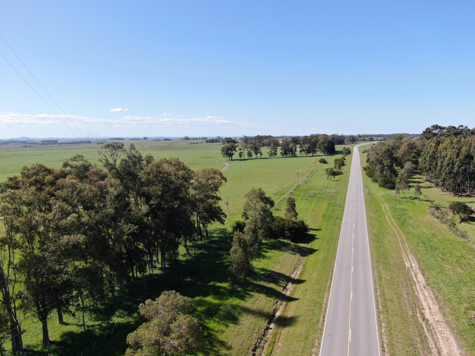 Campo de 1.000 ha en Rocha
