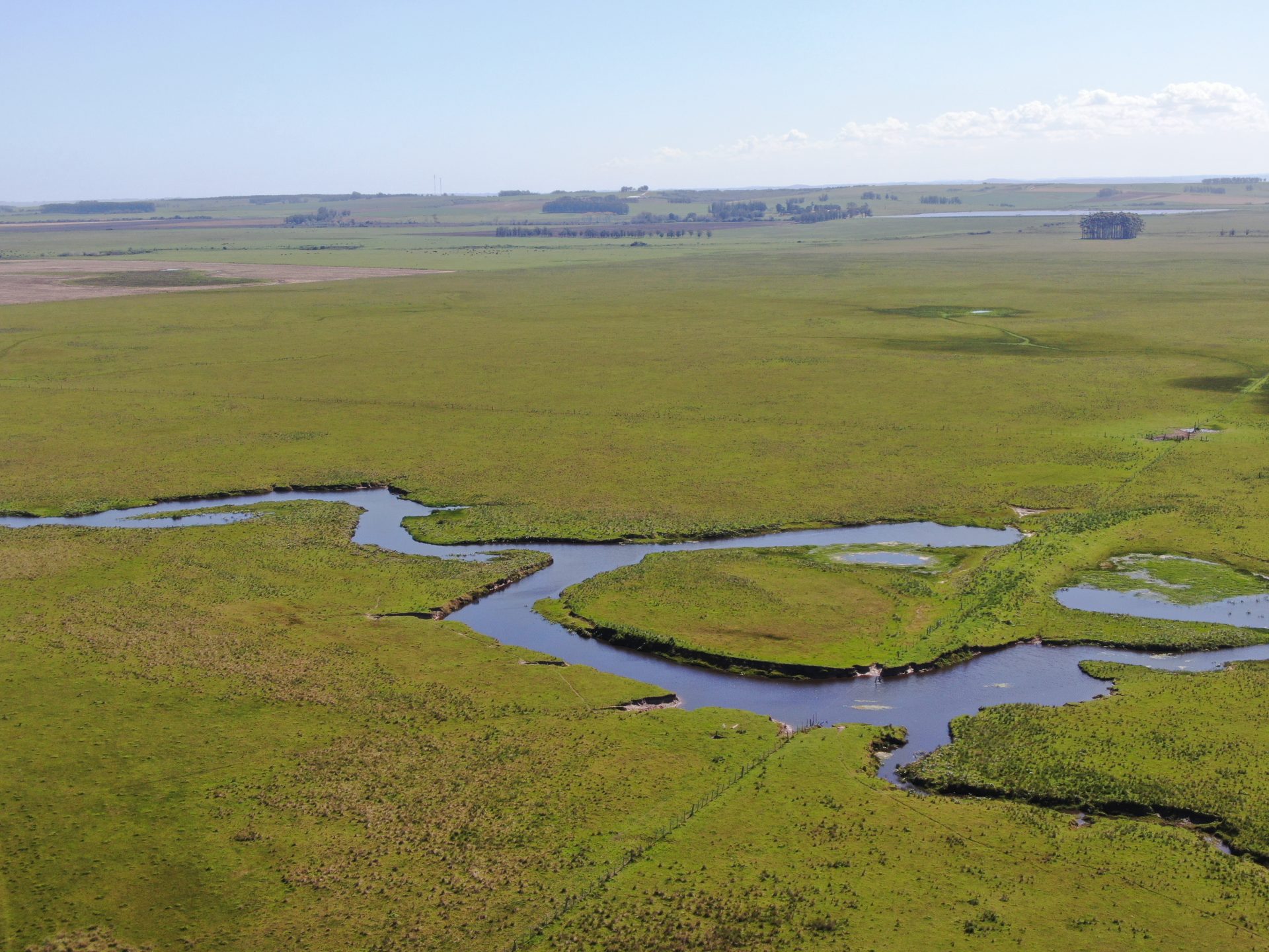 Campo de 1.000 ha en Rocha — 3