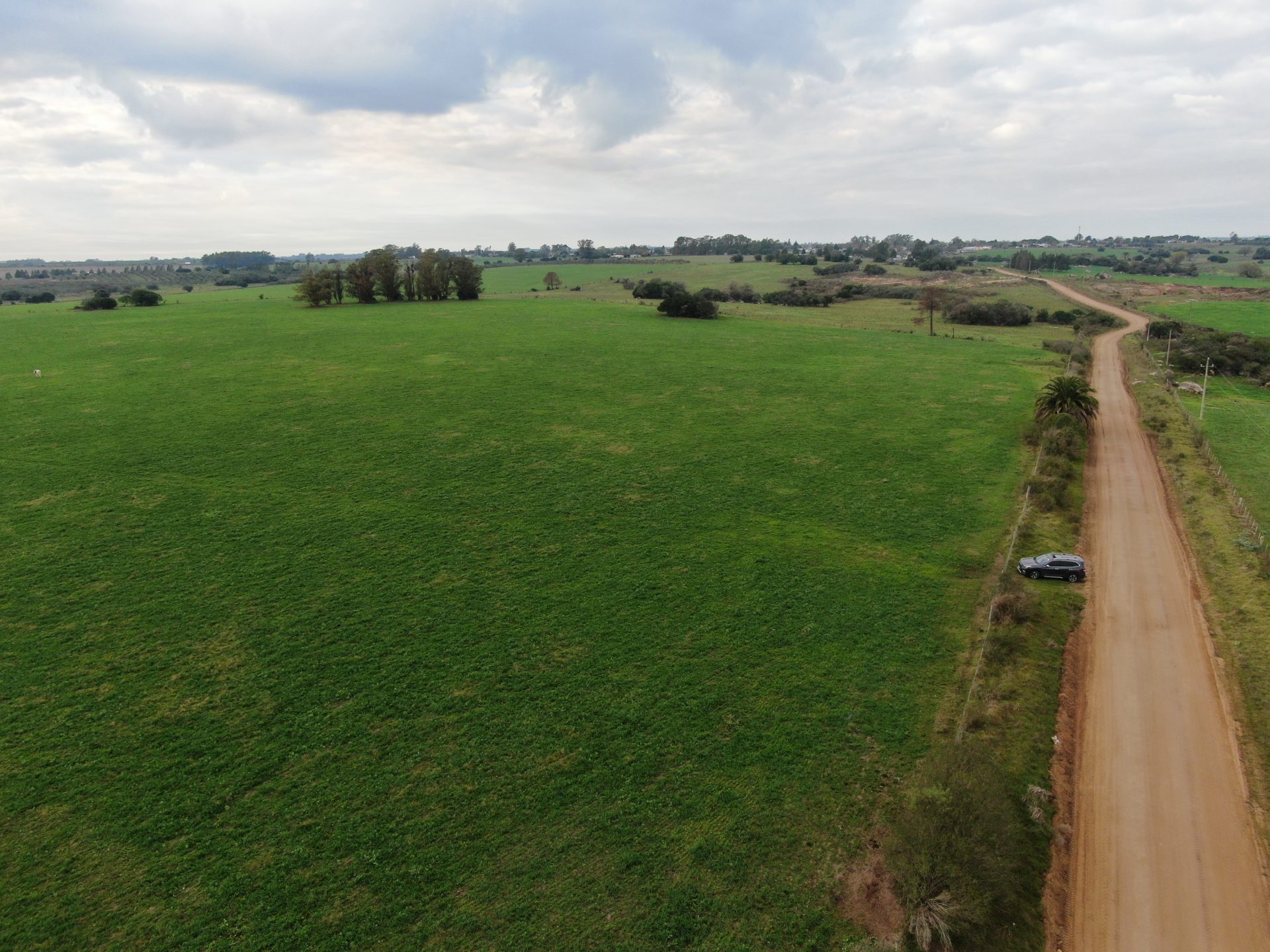 Campo de 100 ha en Colonia — agrícola/ganadero con olivos